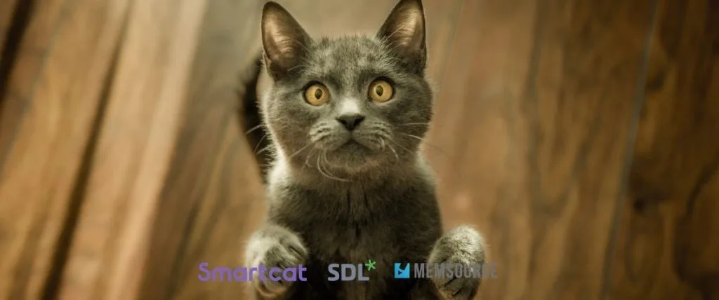 cat tool gratuiti traduttori