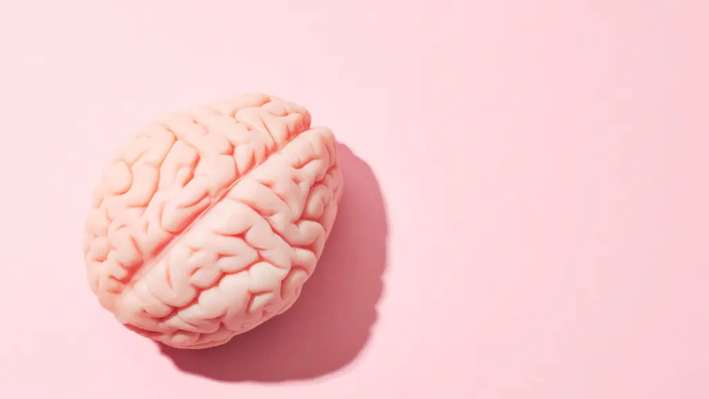 localization neuromarketing connection