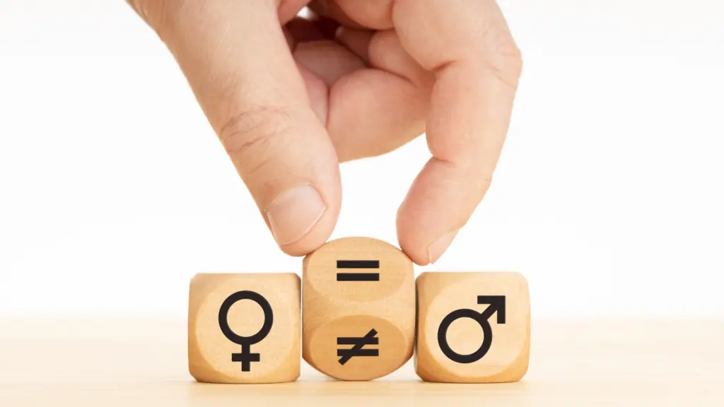 grammatical gender translation