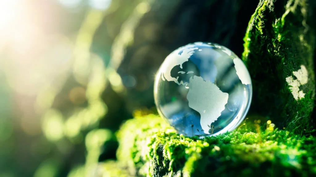 sustainable tourism describing