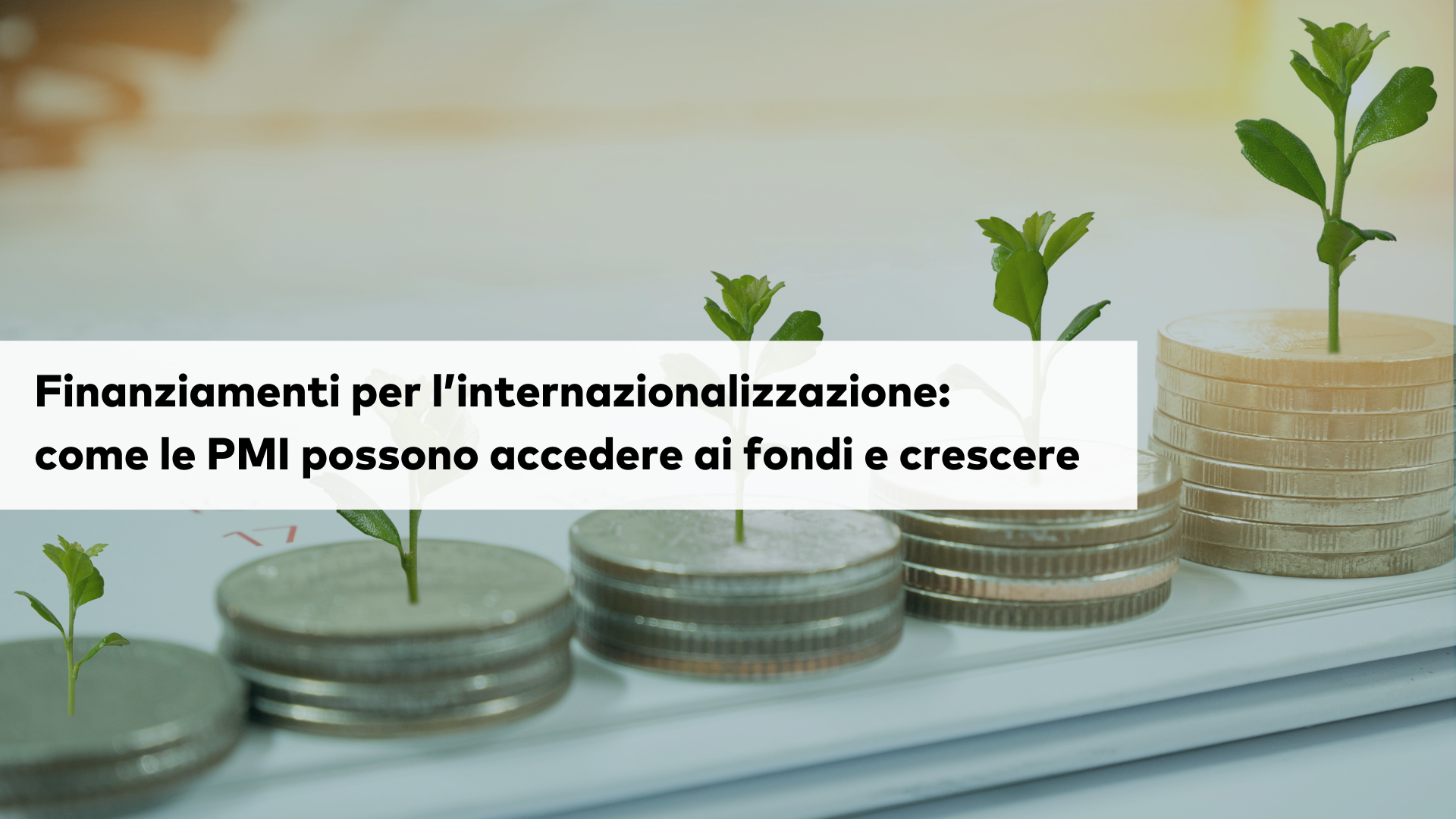 pmi-e-fondi-per-internazionalizzazione