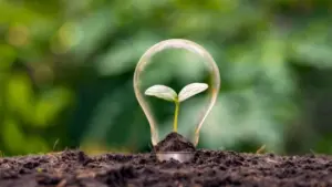 sustainable tourism trend